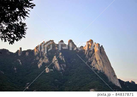道峰山 屋外 自然 84837871