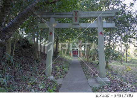 稲荷神社(つくば市北条) 稲荷神社(つくば市北条) 84837892