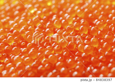 美味しそうないくらの醤油漬け 84838397