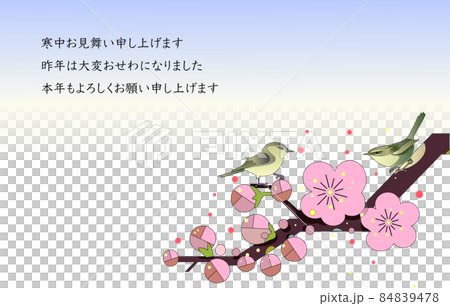 寒中見舞いのポストカード 梅の花とウグイスのイラスト素材