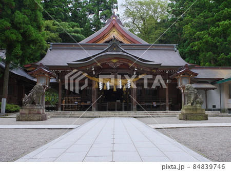 白山比咩神社の境内 拝殿 白山比咩神社の境内 拝殿 84839746