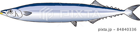 サンマ 84840336
