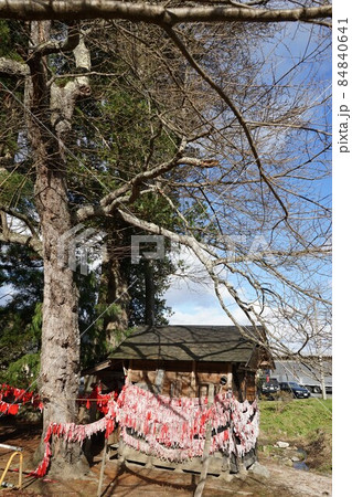 遠野遺産　卯子酉神社（ウネトリジンジャ） 84840641