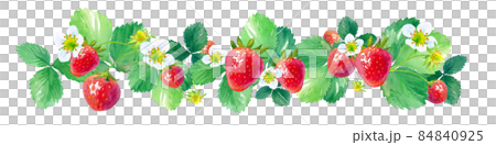 並排排列的草莓的水彩插圖。框架裝飾。 （矢量。佈局可以改變） 84840925