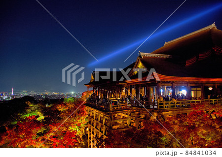 清水寺紅葉ライトアップ2021 84841034