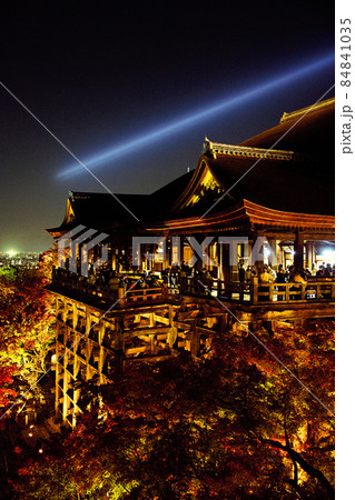 清水寺紅葉ライトアップ2021 清水寺紅葉ライトアップ2021 84841035