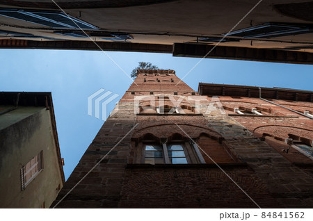 Lucca, Tuscany, Italy. August 2020. Amazing view of the Guinigi tower in the historic center. It is characterized by the red bricks and the trees that grow on its top. Beautiful summer day. 84841562