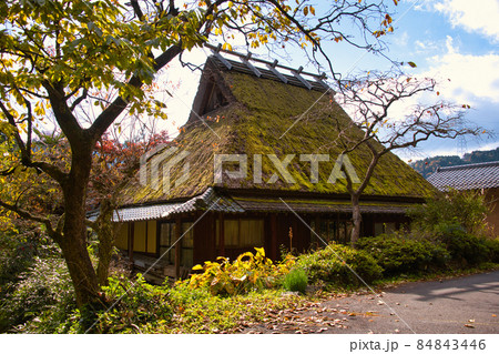京都　美山かやぶきの里　2021秋 84843446