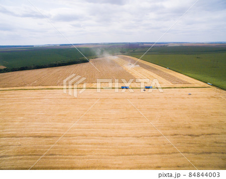 Harvesting in the field. Aerial view. Wheat field 84844003