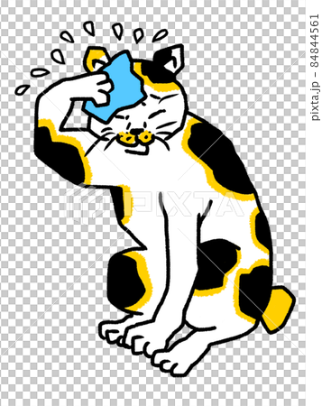 Oedo calico cat gesture_too hot figure 84844561