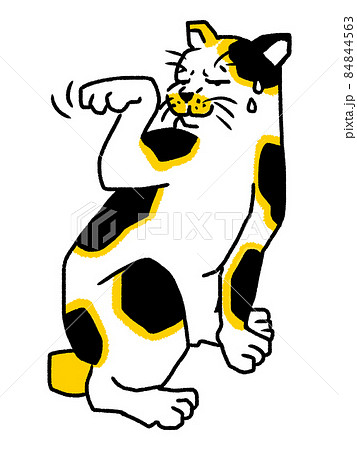 大江戸三毛猫しぐさ＿冗談だろ！の図 84844563