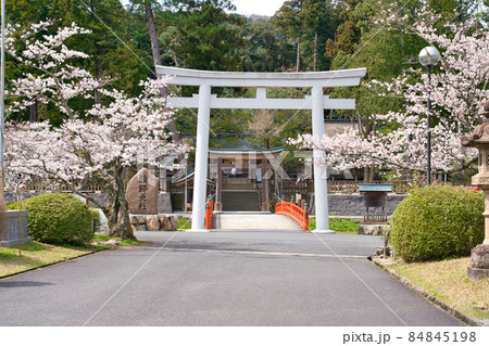 〈島根県〉春の熊野大社　神社前　鳥居と朱色の八雲橋 84845198