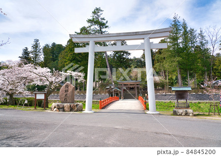 〈島根県〉春の熊野大社　神社前　鳥居と朱色の八雲橋 84845200