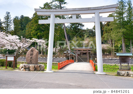 〈島根県〉春の熊野大社 神社前 鳥居と朱色の八雲橋 〈島根県〉春の熊野大社 神社前 鳥居と朱色の八雲橋 84845201