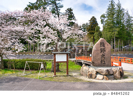 〈島根県〉春の熊野大社　神社前　石碑と朱色の八雲橋 84845202