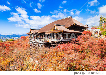 秋の京都　清水寺　本堂 84846055