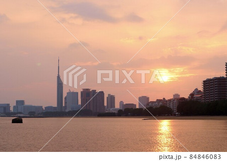 朝日に映える福岡タワー 朝日に映える福岡タワー 84846083