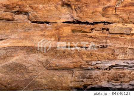 texture of bark wood use as natural background. texture of bark wood use as natural background. 84846122