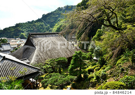 臨済寺　境内 84846214