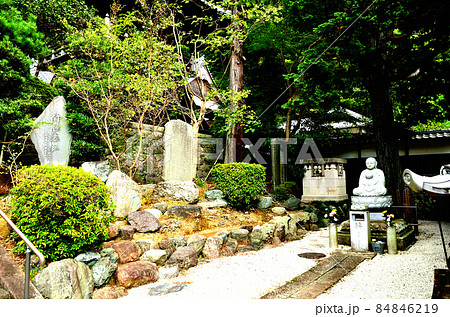 臨済寺　境内 84846219