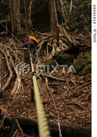 ピンと張られた登山道のロープ ピンと張られた登山道のロープ 84846989