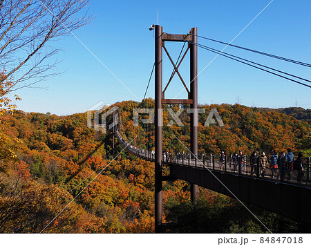 青空の紅葉の森に架かる吊り橋 84847018