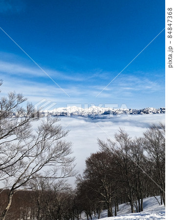 荒島岳のシャクナゲ平から見る白山、別山 84847368