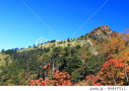 【愛媛県】紅葉した秋の瓶ヶ森(石鎚山) 【愛媛県】紅葉した秋の瓶ヶ森(石鎚山) 84847511