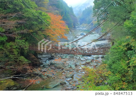 【徳島県】紅葉した祖谷のかずら橋 【徳島県】紅葉した祖谷のかずら橋 84847513