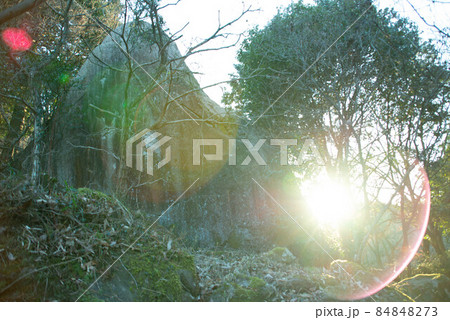中津市（三光村）　八面山 84848273