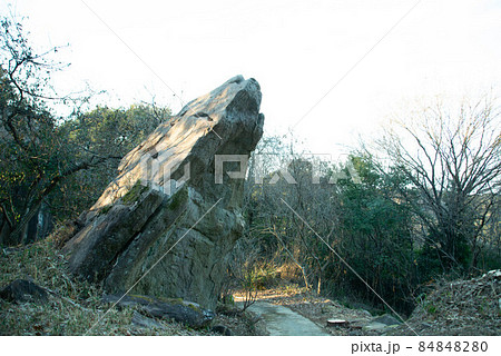 中津市（三光村）　八面山 84848280