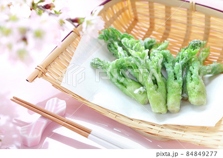 たらの芽の天ぷら たらの芽の天ぷら 84849277