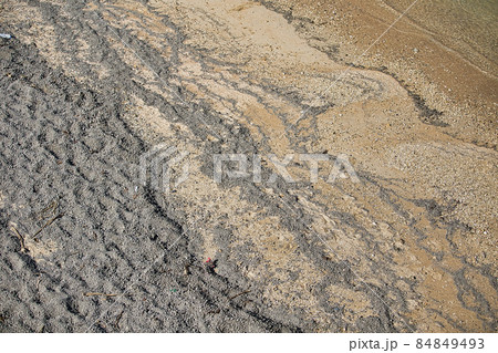 沖縄の軽石 84849493