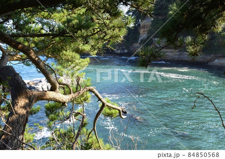 秋晴れの五浦海岸 茨城 秋晴れの五浦海岸 茨城 84850568