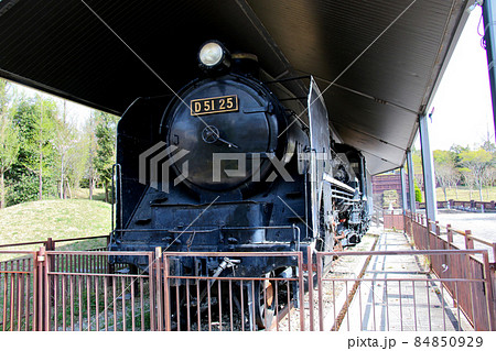 三田市　機関車のある公園～はじかみ池公園～  SL D51 正面より 84850929