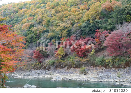 秋の嵐山 84852020