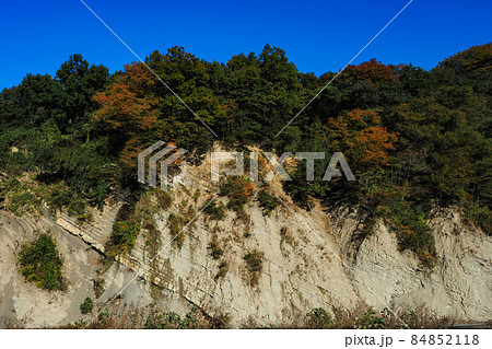 秩父取方の大露頭 秩父取方の大露頭 84852118
