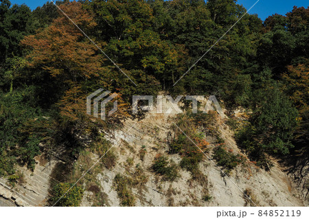 秩父取方の大露頭 秩父取方の大露頭 84852119