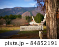 滋賀県高島市　メタセコイア並木に設置されていた看板 84852191