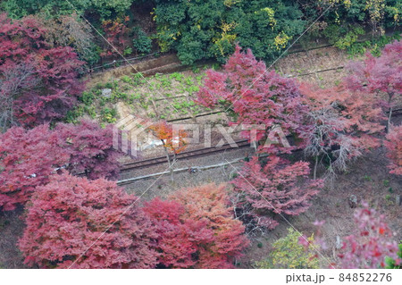 紅葉と線路 紅葉と線路 84852276