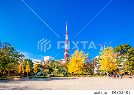 東京　秋の芝公園と東京タワー（4号地広場） 84852402