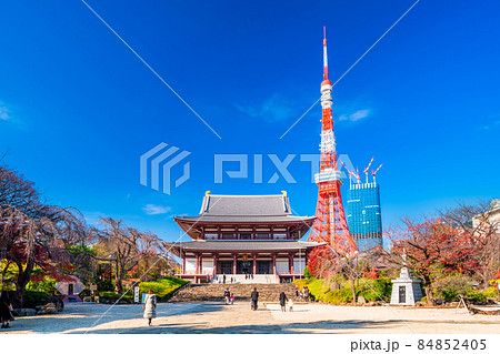 東京 秋の増上寺 東京 秋の増上寺 84852405