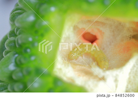 ゴーヤに食害する虫（ウリノメイガ、ワタヘリクロノメイガ） 84852600