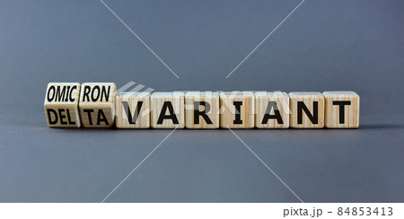 Covid-19 omicron variant symbol. Turned wooden cubes and changed words delta variant to omicron variant. Beautiful grey background. Medical, covid-19 and delta or omicron variant concept. Copy space. 84853413