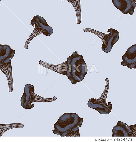 Seamless pattern with hand drawn colored black chanterelle 84854473