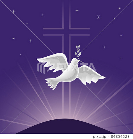 Dove Holy Spirit with olive branch vector poster 84854523