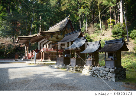 秋の日吉大社　白山社と他の摂社　滋賀県大津市坂本 84855272