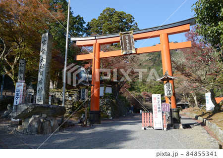 秋の日吉大社　西本宮参道入口の鳥居　滋賀県大津市坂本 84855341