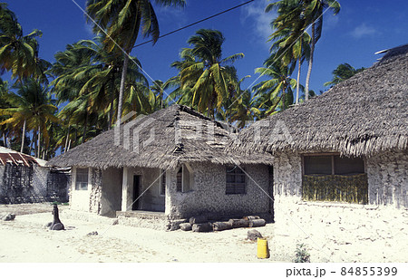ZANZIBAR BWEJUU EASTCOAST LANDSCAPE ZANZIBAR BWEJUU EASTCOAST LANDSCAPE 84855399