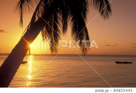 ZANZIBAR BWEJUU EASTCOAST LANDSCAPE 84855445